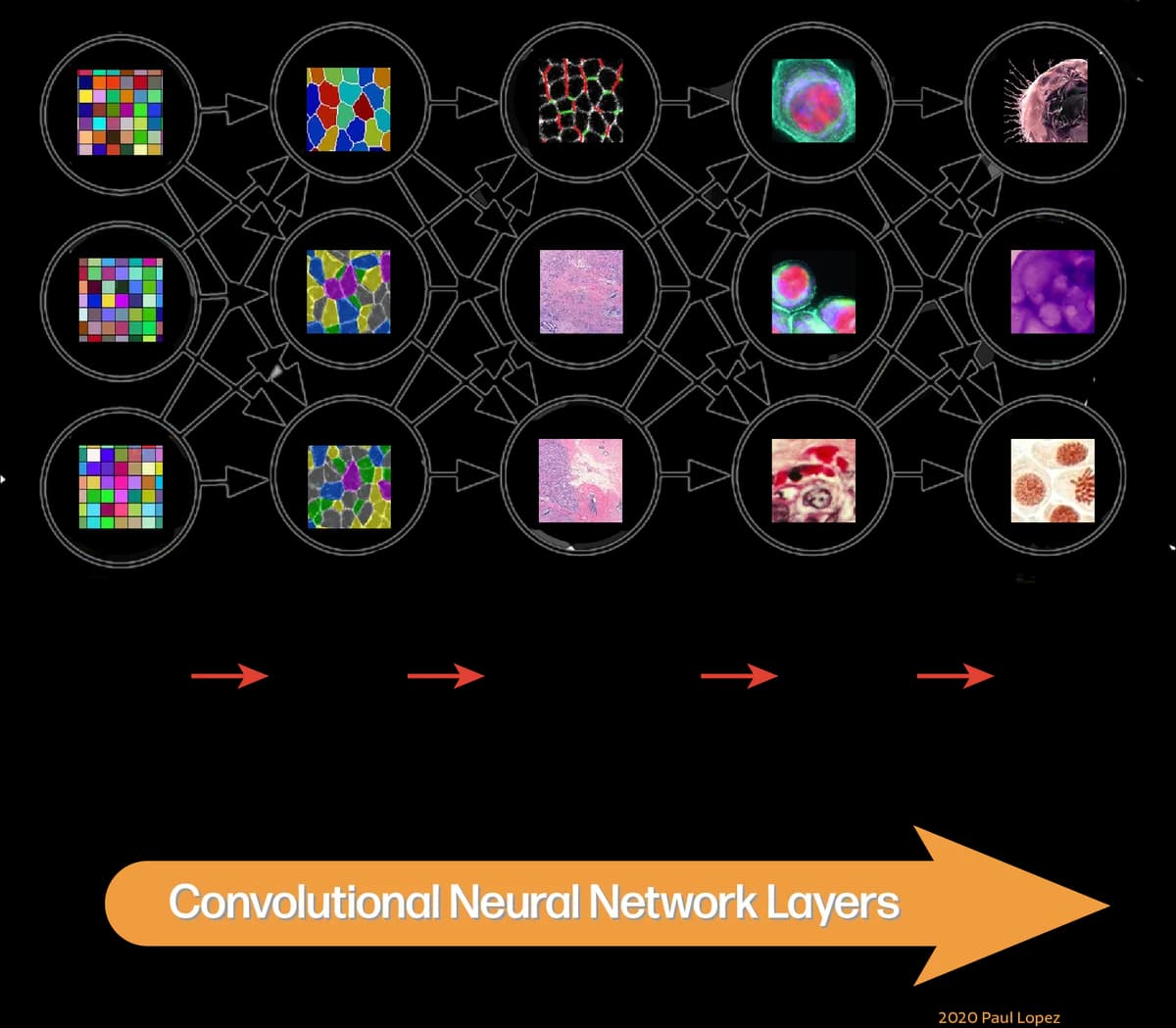 Medical Imaging with AI Deep Learning