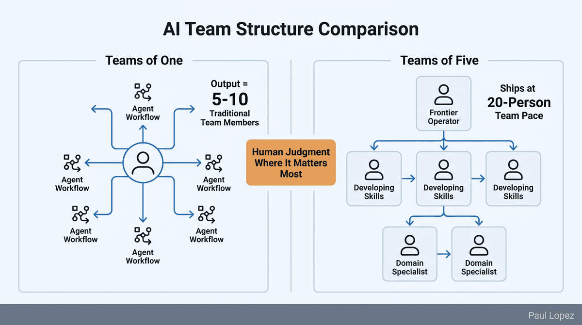 AI Team Structure Comparison